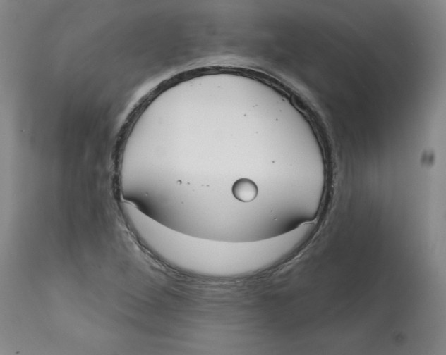 X0000113131264200910021407