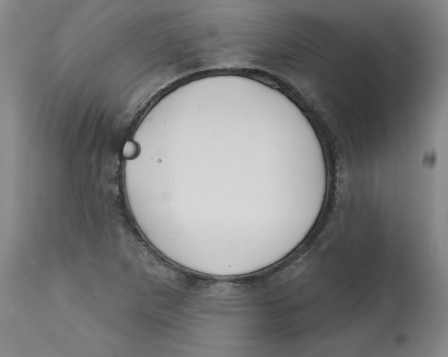 X0000113131265200910021407