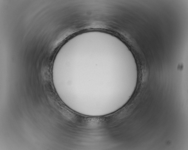 X0000113131266200910021407