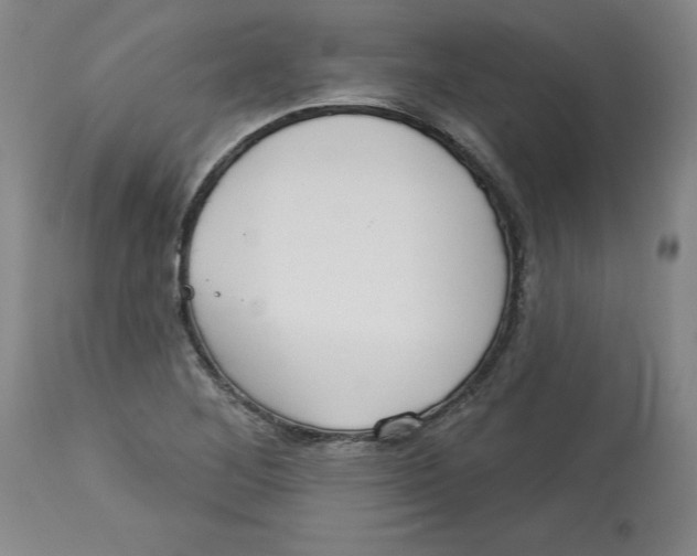 X0000113131268200910021407