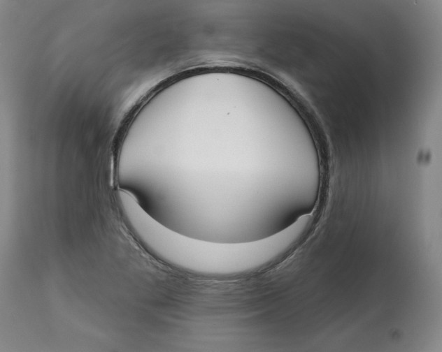 X0000113131269200910021407