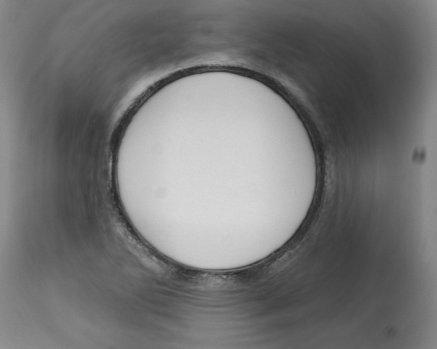 X0000113131270200910021407