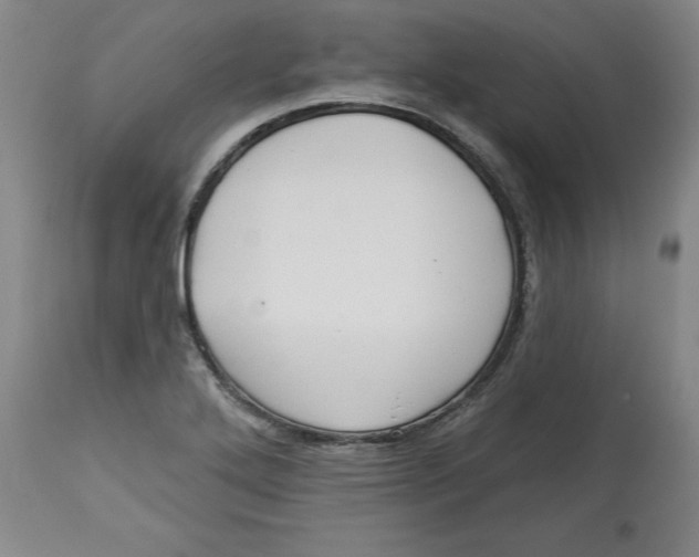 X0000113131272200910021407