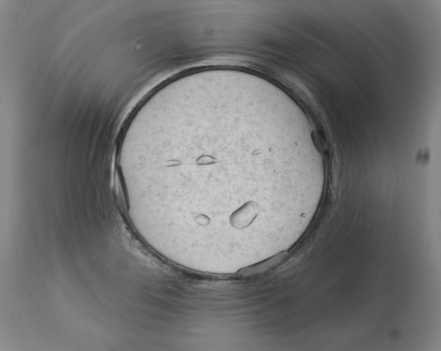 X0000113131276200910021407