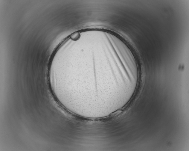 X0000113131277200910021407