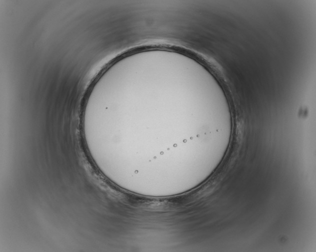 X0000113131279200910021407