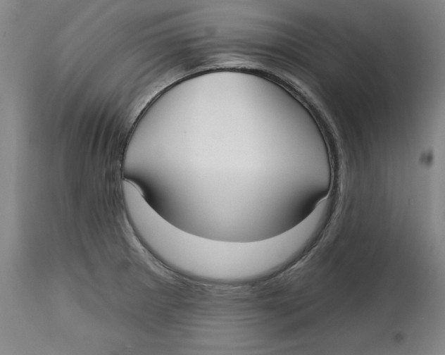 X0000113131281200910021407