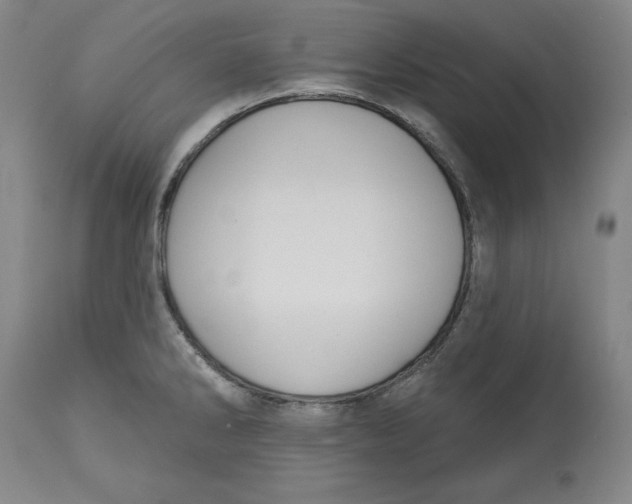 X0000113131286200910021407