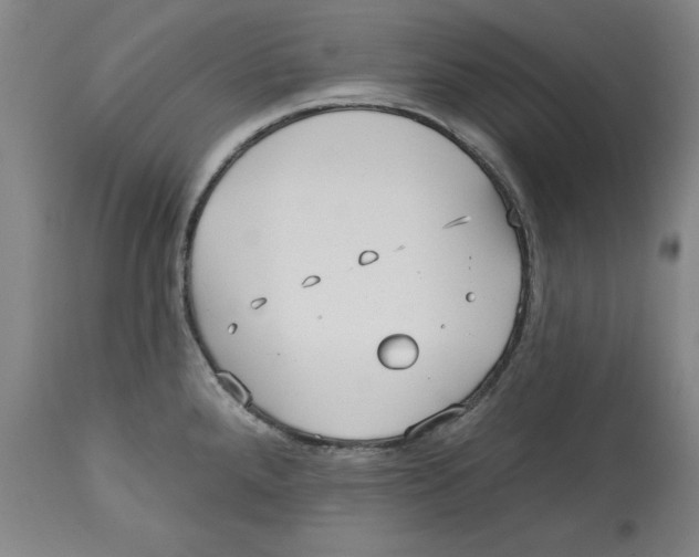 X0000113131288200910021407