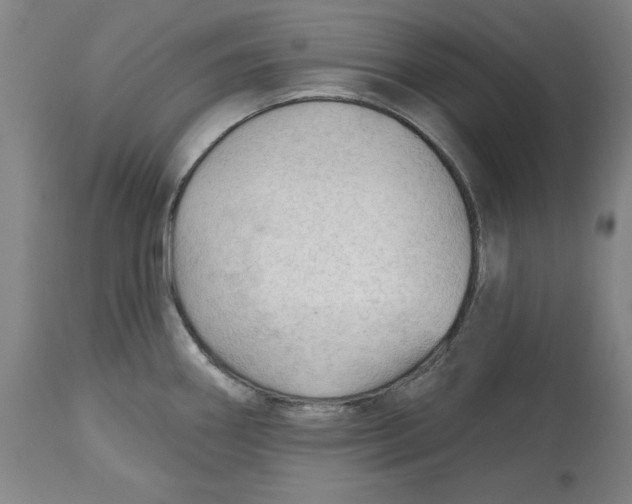 X0000113131290200910021407