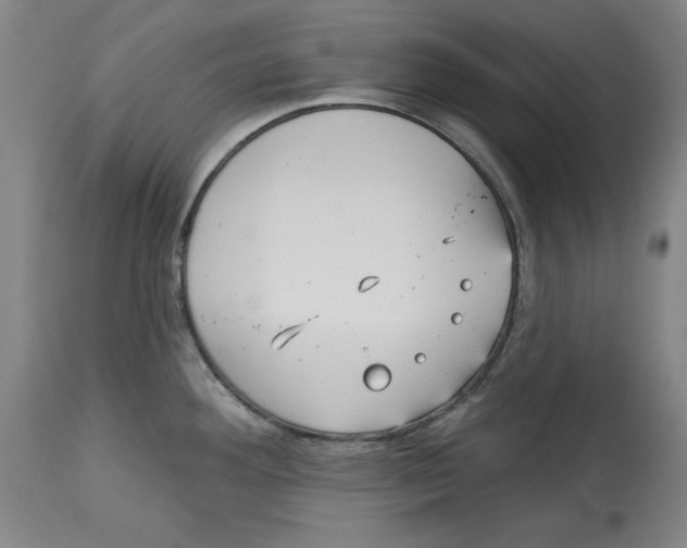 X0000113131292200910021407