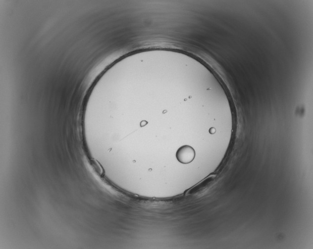 X0000113131293200910021407