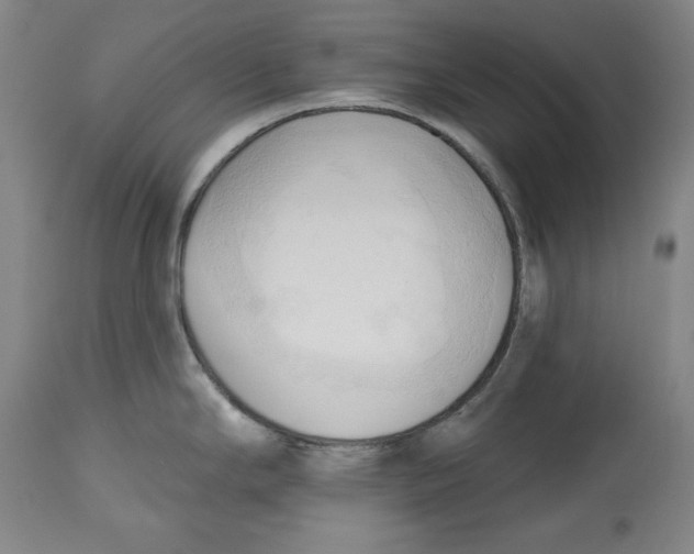 X0000113131294200910021407