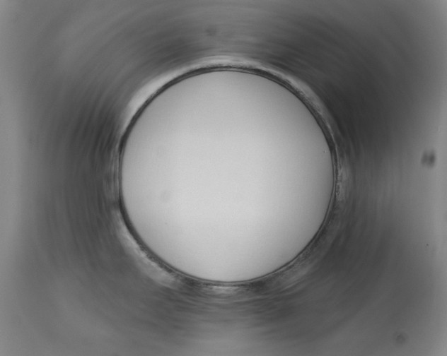 X0000113131295200910021407