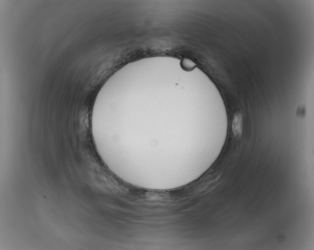 X0000113131299200910021406