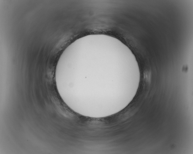 X0000113131300200910021406