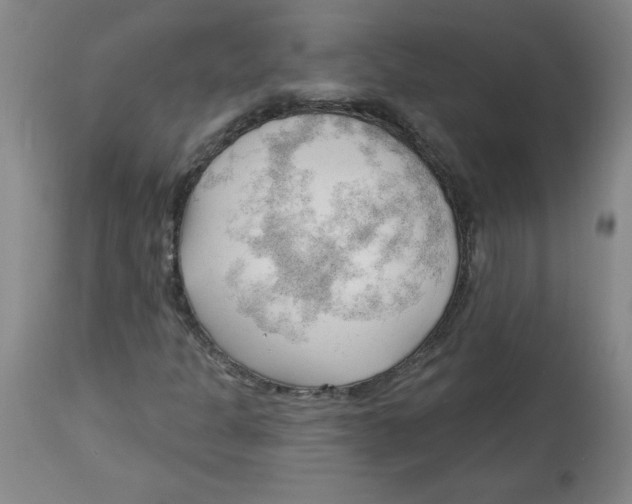 X0000113131301200910021406