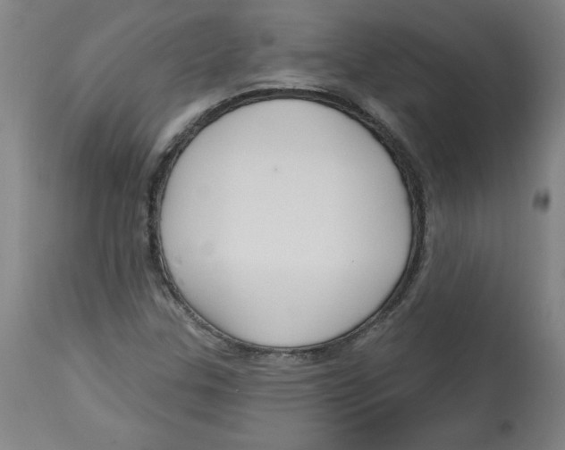 X0000113131307200910021406