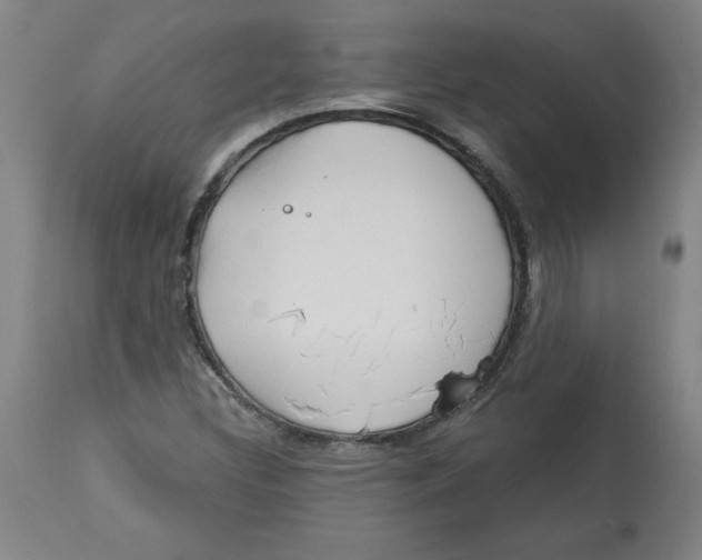 X0000113131308200910021406