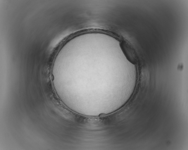 X0000113131310200910021406