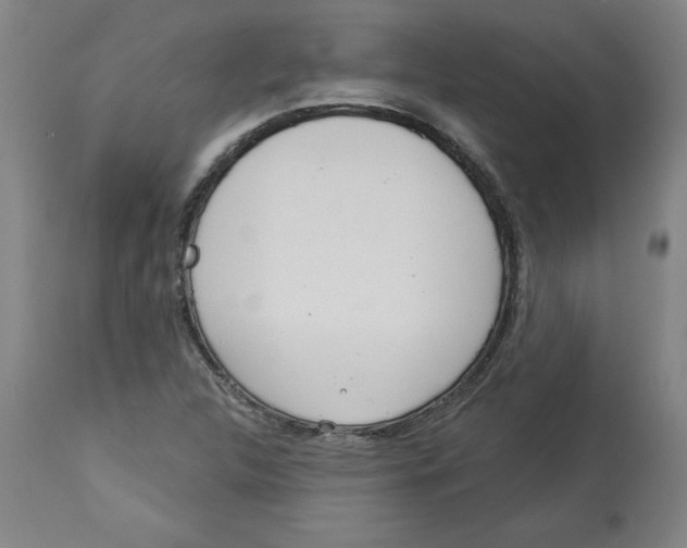 X0000113131312200910021406