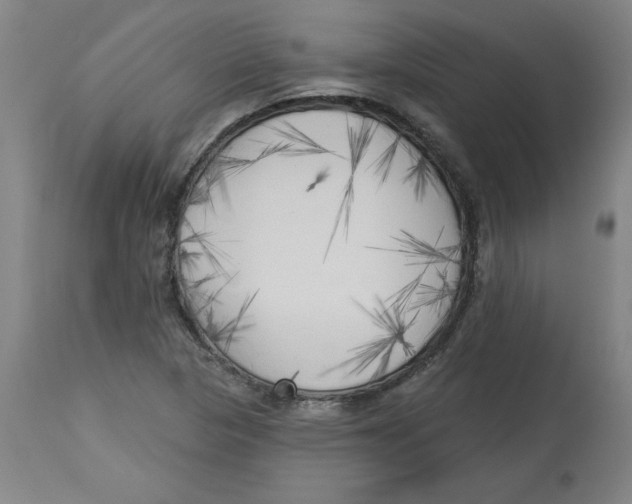 X0000113131313200910021406