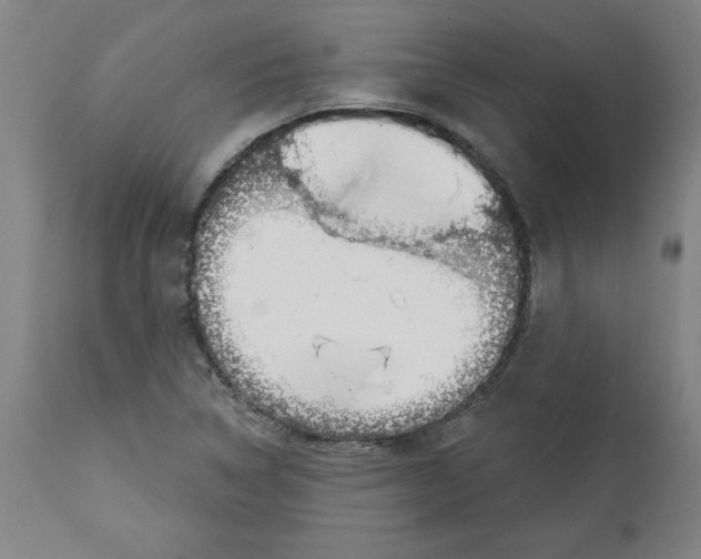 X0000113131314200910021406