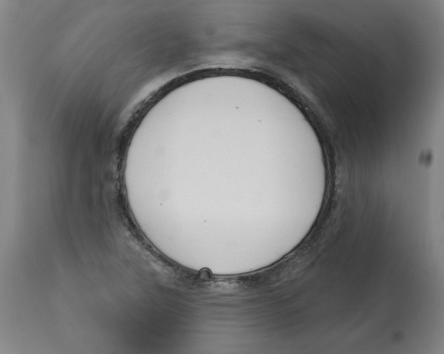 X0000113131315200910021406