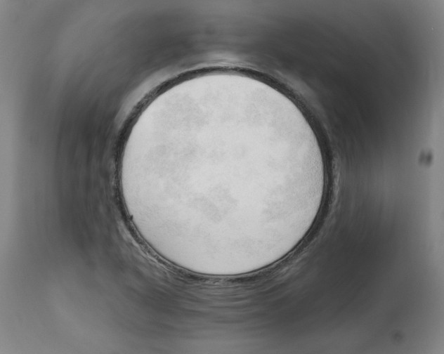 X0000113131318200910021406