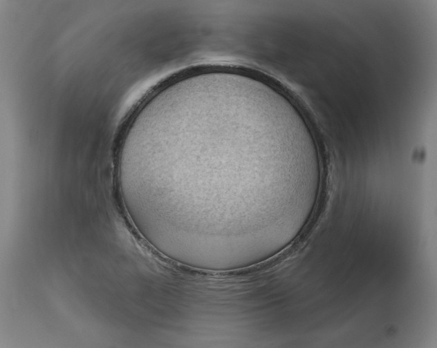 X0000113131319200910021406