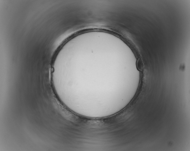 X0000113131320200910021406