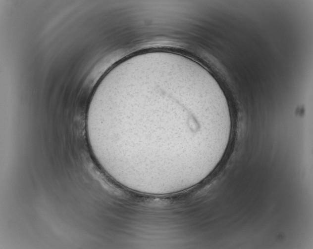 X0000113131321200910021407