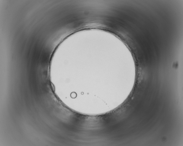 X0000113131322200910021407