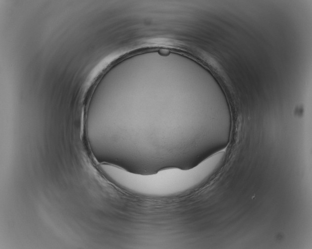 X0000113131323200910021407