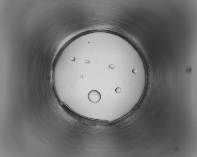 X0000113131324200910021407