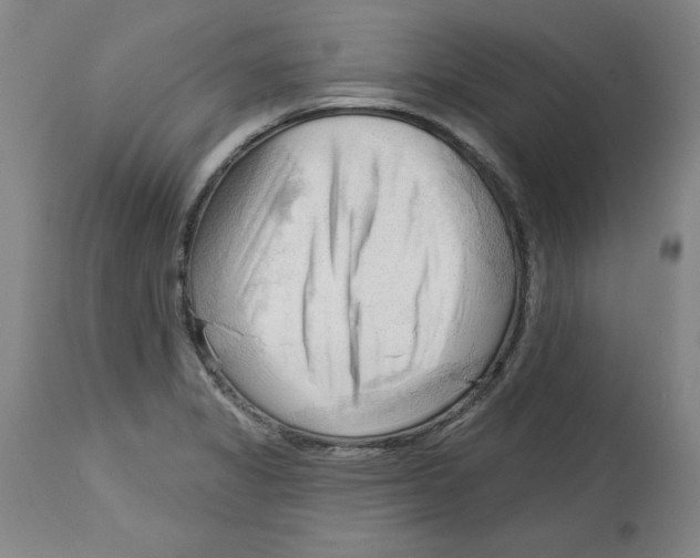 X0000113131325200910021407