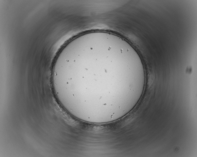 X0000113131326200910021407