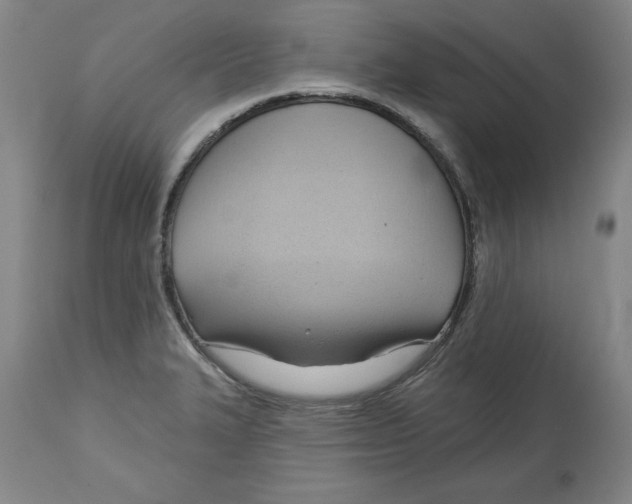 X0000113131327200910021407