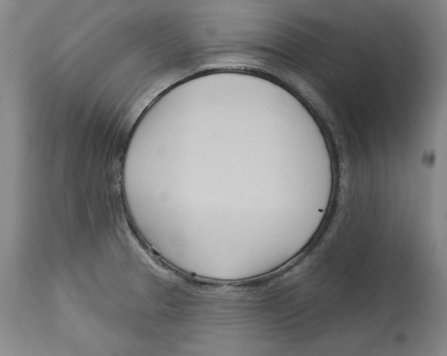 X0000113131329200910021407