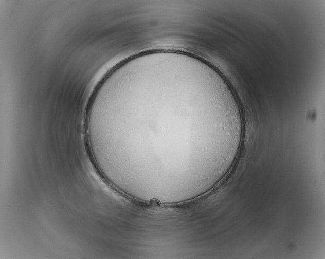 X0000113131331200910021407