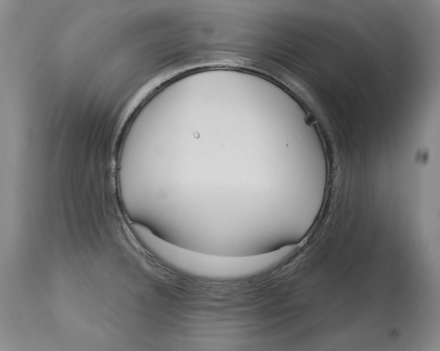 X0000113131332200910021407