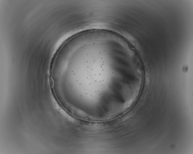 X0000113131334200910021407