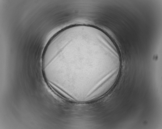 X0000113131335200910021407