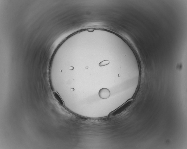 X0000113131336200910021407