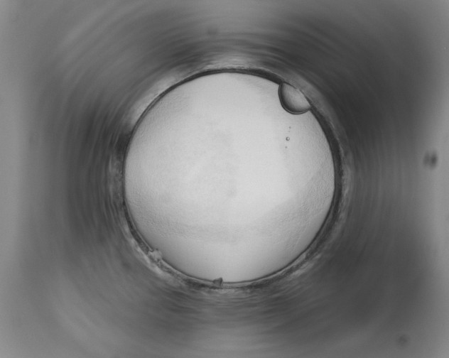 X0000113131337200910021407