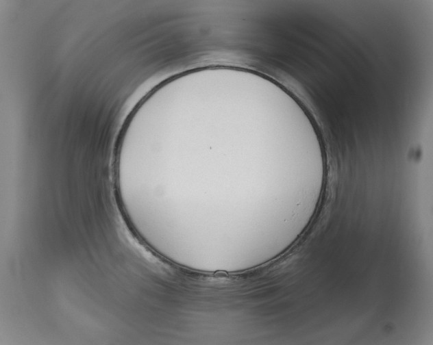 X0000113131339200910021407