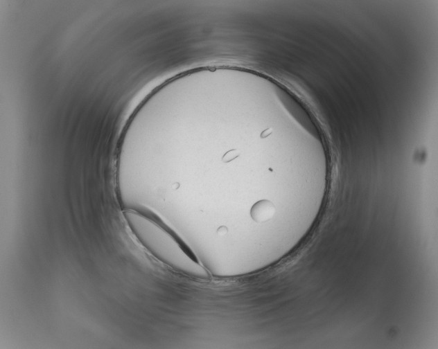 X0000113131340200910021407