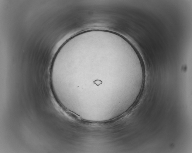 X0000113131341200910021407