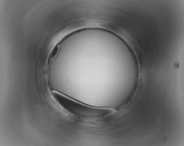 X0000113131342200910021407