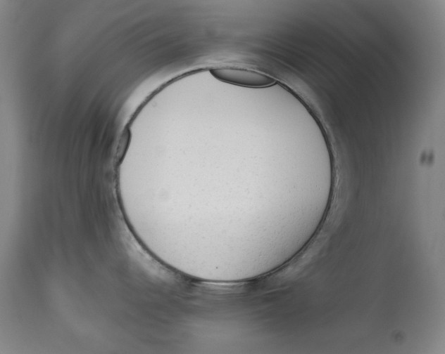 X0000113131344200910021407